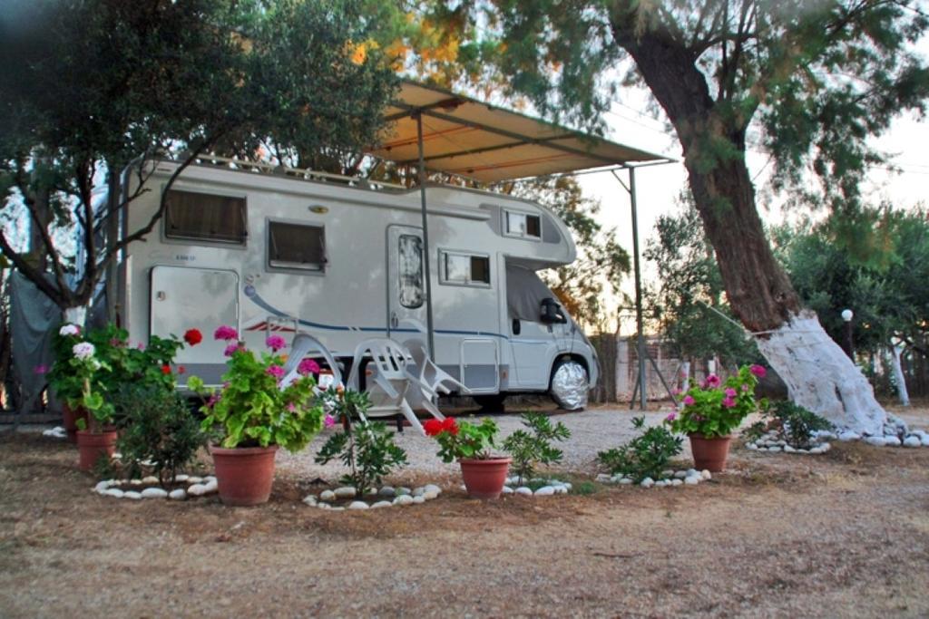 Creta Camping Gouves Eksteriør billede